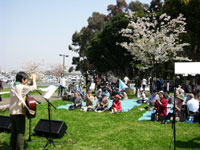 桜の木の周囲にシートが敷かれ、参加者が座っている。参加者に向かって演奏している人たちがいる。