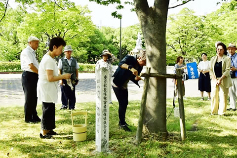 「東京の木」にひしゃくで水を掛ける献水式の参加者たち。